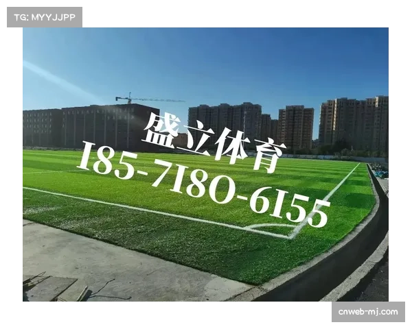 柏林赫塔宣布奥林匹克体育场草皮将进行全面翻新